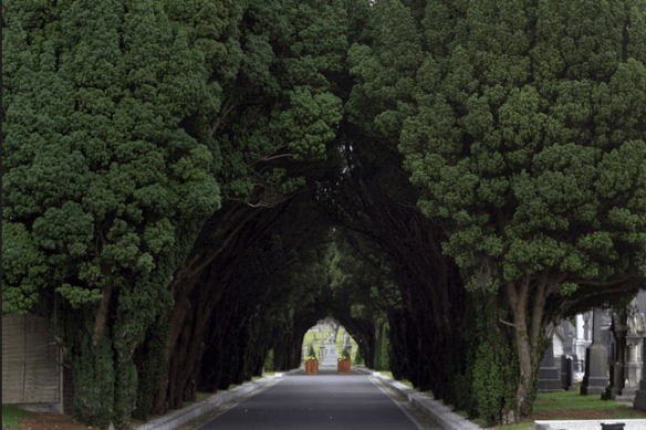 Screen Shot 2015-11-17 at 20.09.57