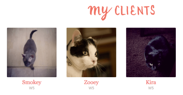 Screen Shot 2016-02-23 at 20.58.27