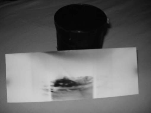 FB_IMG_1461063270535