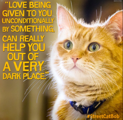 screen-shot-2016-11-22-at-20-31-32